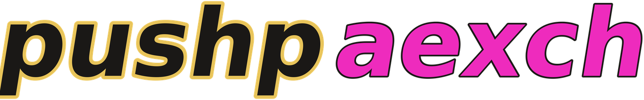 pushpaexch logo